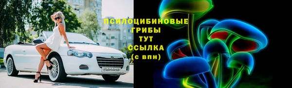 а пвп мука Абаза