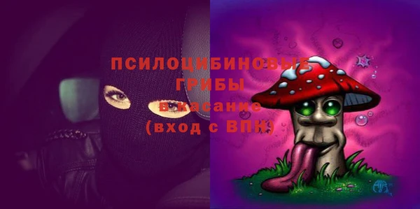 а пвп мука Абаза