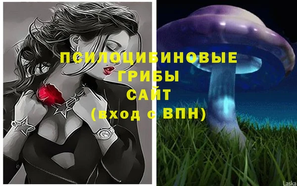 меф Переславль-Залесский