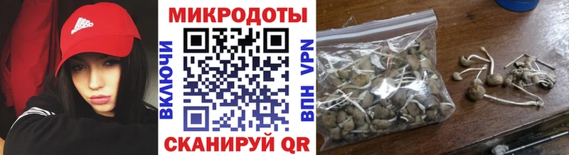 Галлюциногенные грибы прущие грибы  продажа наркотиков  Луга 