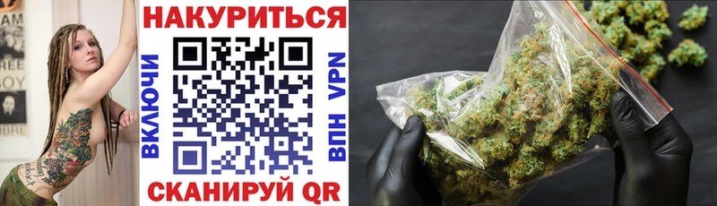 купить наркотики цена  Луга  МАРИХУАНА White Widow 